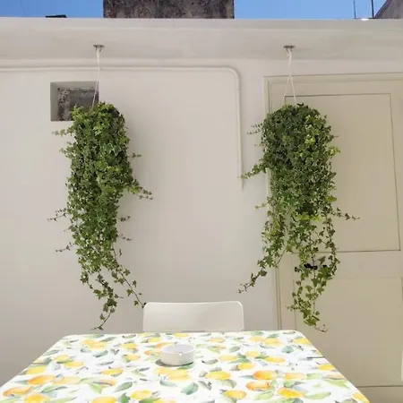 Family And Friends House Apartment *